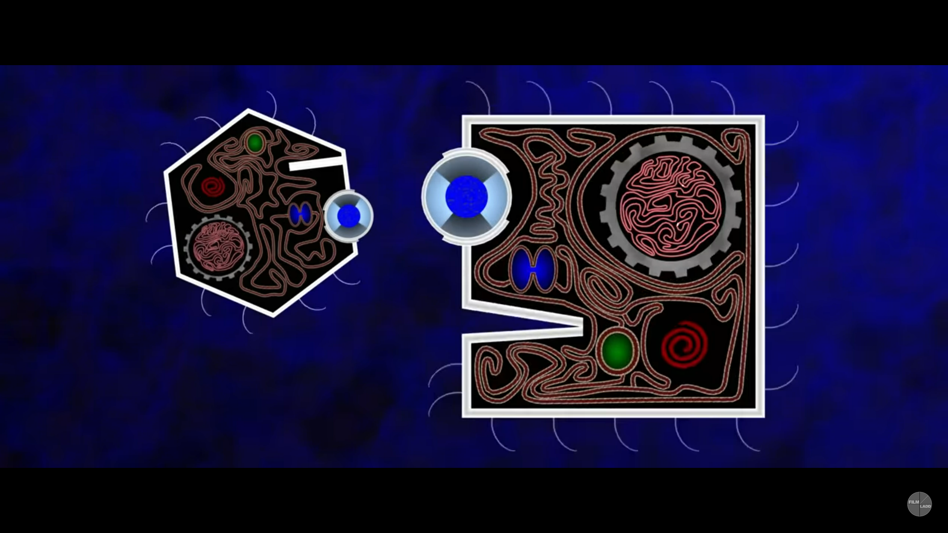 A Square talking to his son, A Hex.Recall from the book that squares have pentagonal sons, and hexagonal grandsons. In Flatland: The Movie, A Hex is A Square’s hexagonal granddaughter. Strangely it seems that Flatlanders’ brains are not supplied by blood.